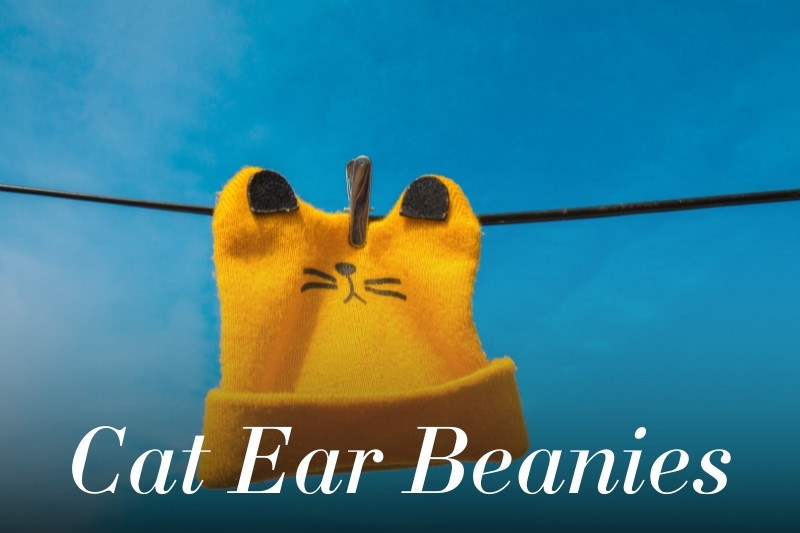 Cat ear beanie