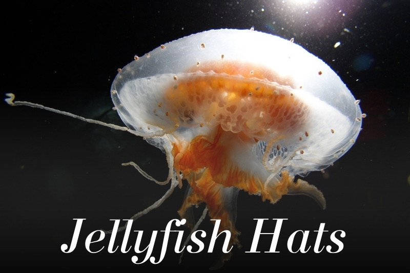Jellyfish Hats